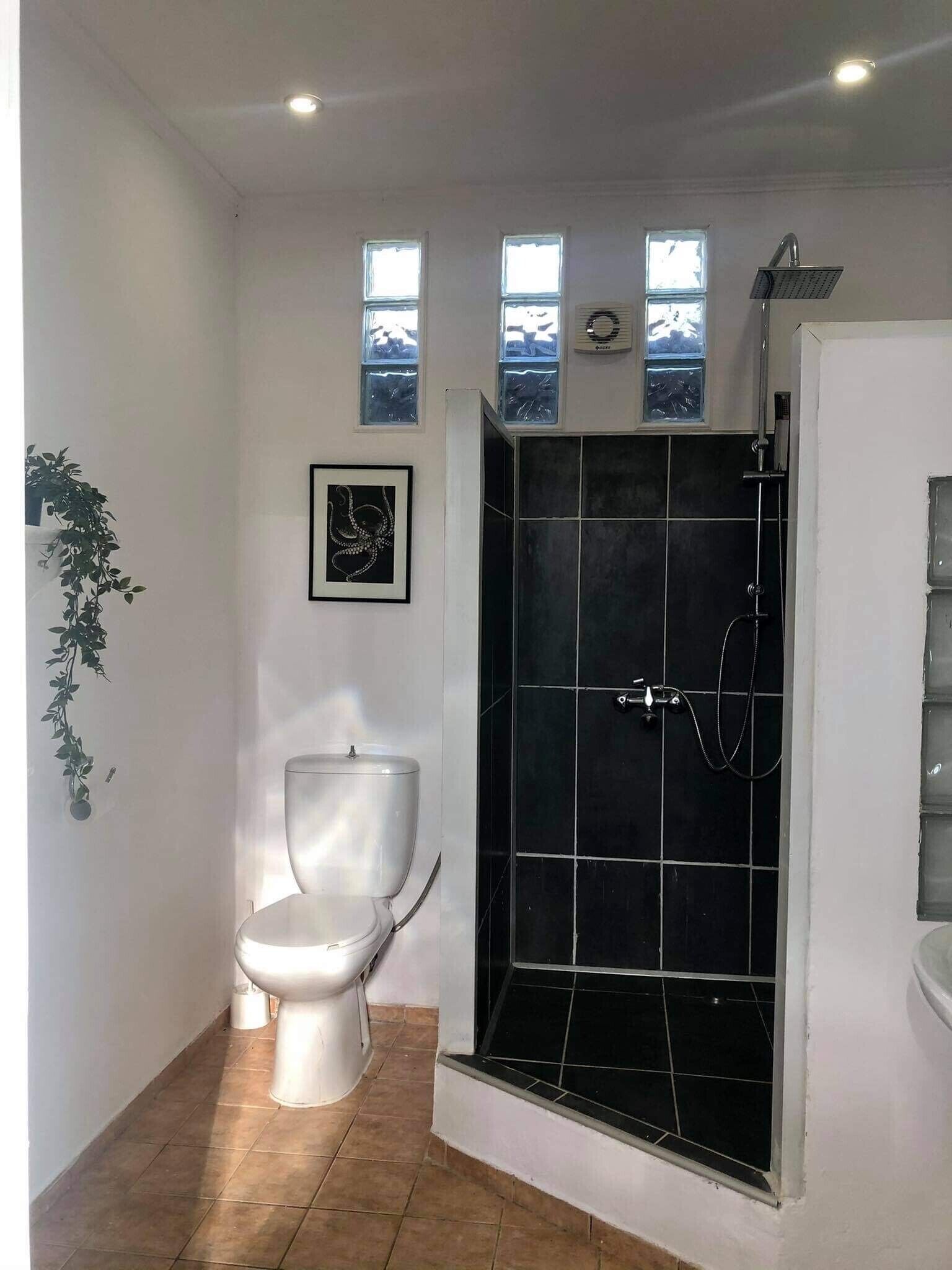 Hair dryer, towels, toilet paper