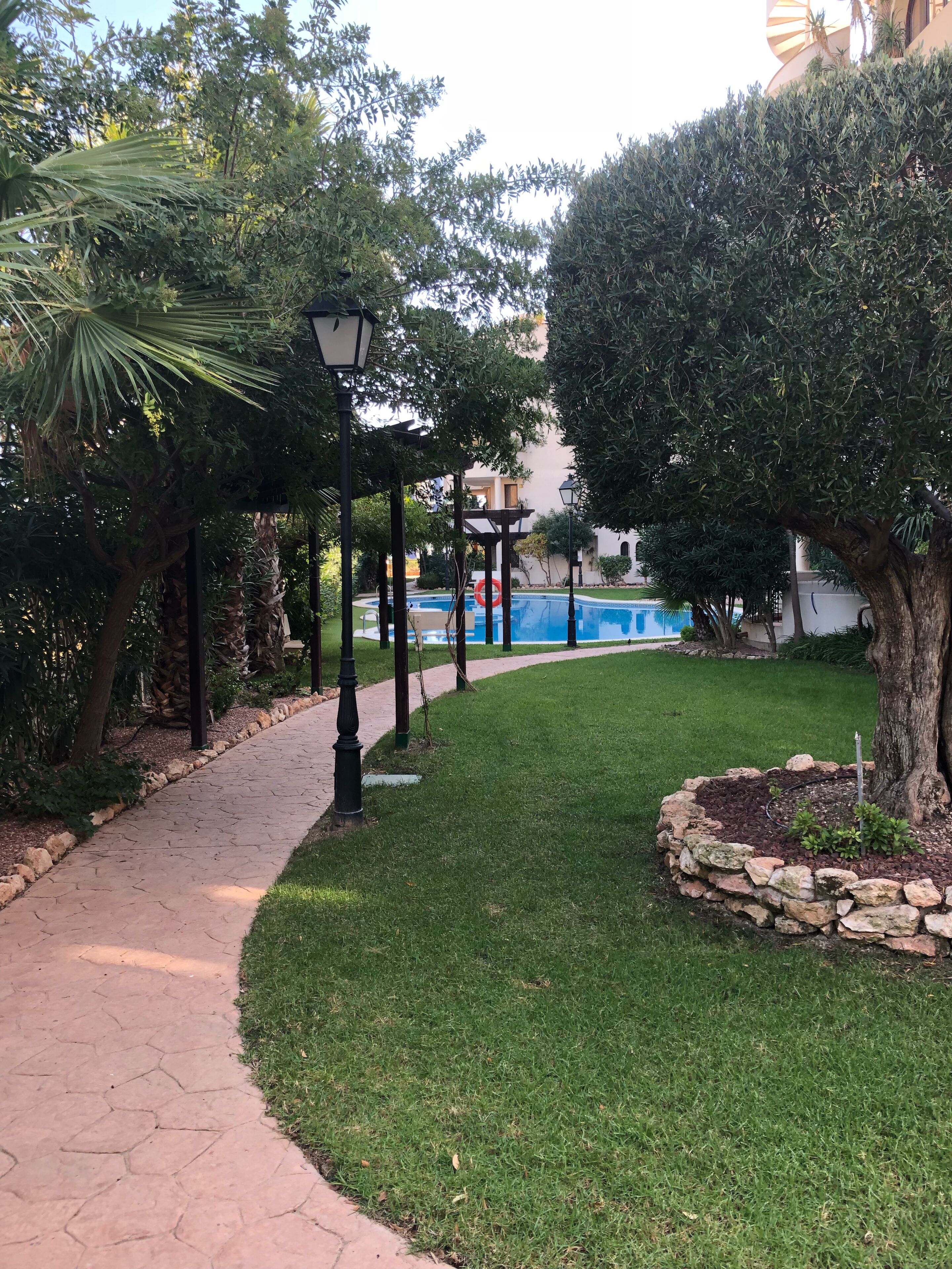 A landscaped garden with a paved walkway, a pool, and surrounding greenery.