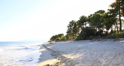 Compl. Res. Sea course - Studio cabine 2/3 pers. - Studio cabine 2/3 pers.