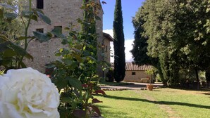 A garden with a white rose, a stone wall, and a building with a tiled roof.