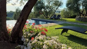 Alberca al aire libre 