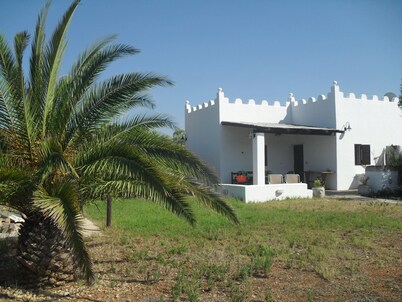 panoramic tower with 2km. beaches coastal dunes park