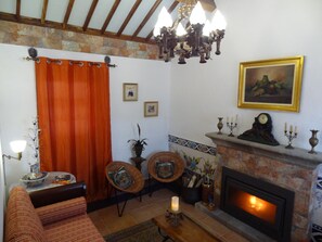 TV, fireplace, books