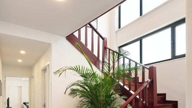 A wooden staircase with a railing, a potted plant, and a hallway leading to a room. - Apartment 4 bedrooms (2) - Porto (Porto)
