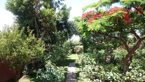 A garden pathway surrounded by lush greenery and trees. - Casa El Tonelero with garden and private pool (Gáldar)