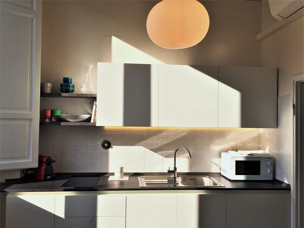 Kühlschrank, Mikrowelle, Herdplatte, Geschirrspüler