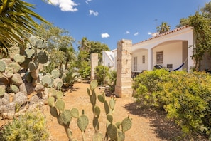 Área da propriedade