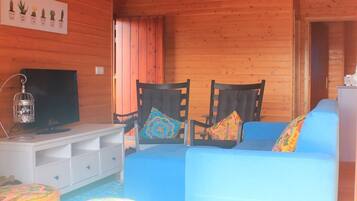 Flat-screen TV, fireplace