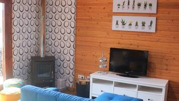 Flat-screen TV, fireplace