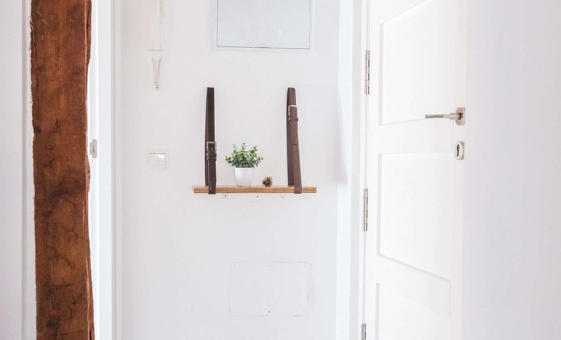 A white door with a small shelf holding a plant and a pinecone.