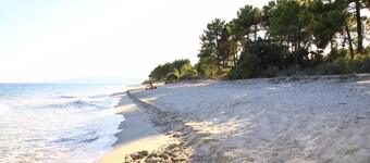 Apartment 150 m from the sea - 6 people