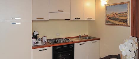 Fridge, oven, stovetop, espresso maker