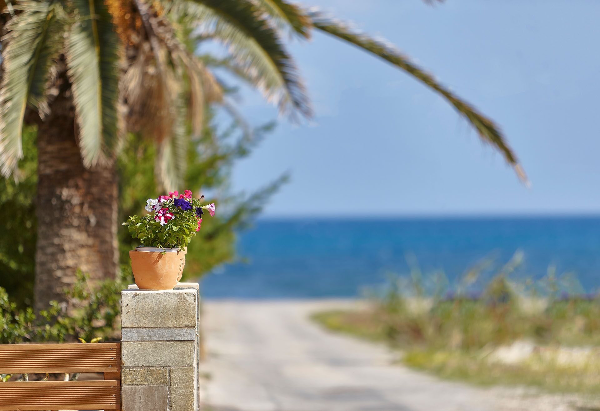 Un sentier menant à la mer, avec un banc et un pot de fleurs posés sur un pilier en pierre.