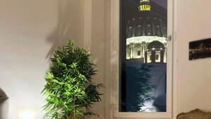 Een hotelkamer met een bed, een stoel, een potplant en een raam met uitzicht op een gebouw 's nachts.