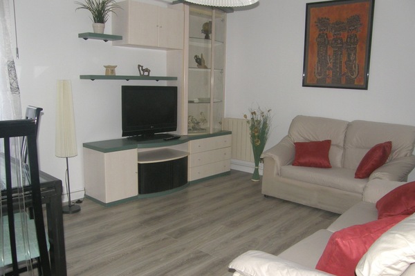 TV, DVD player, books, music library