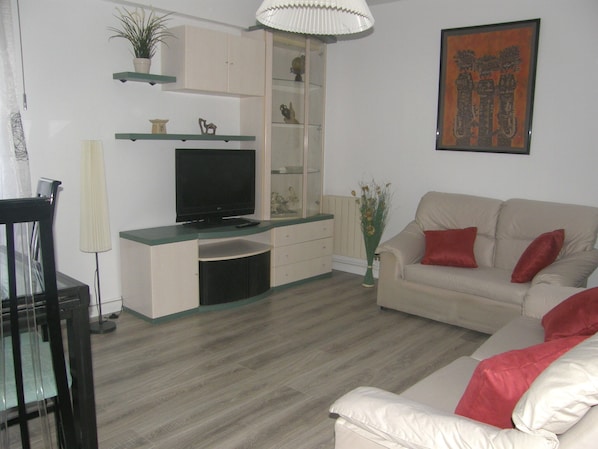 TV, DVD player, books, music library