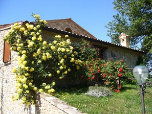 A stone building with a garden featuring yellow and red roses.