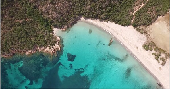 Una playa cerca