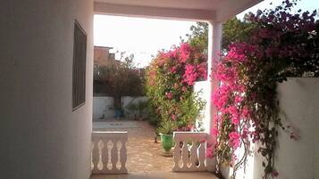 Terassi/patio