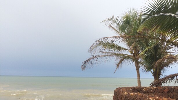 A beach with a palm tree and rocky formations. - Beachfront accommodation Yene - Senegal (Yene Kao)