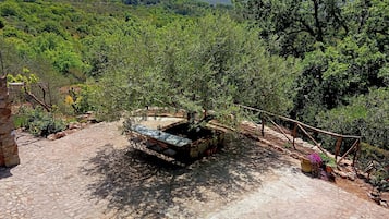Parco della struttura