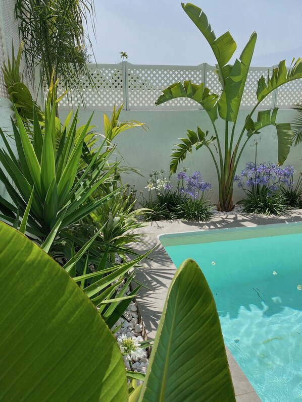 A pool surrounded by lush greenery and a white lattice fence.