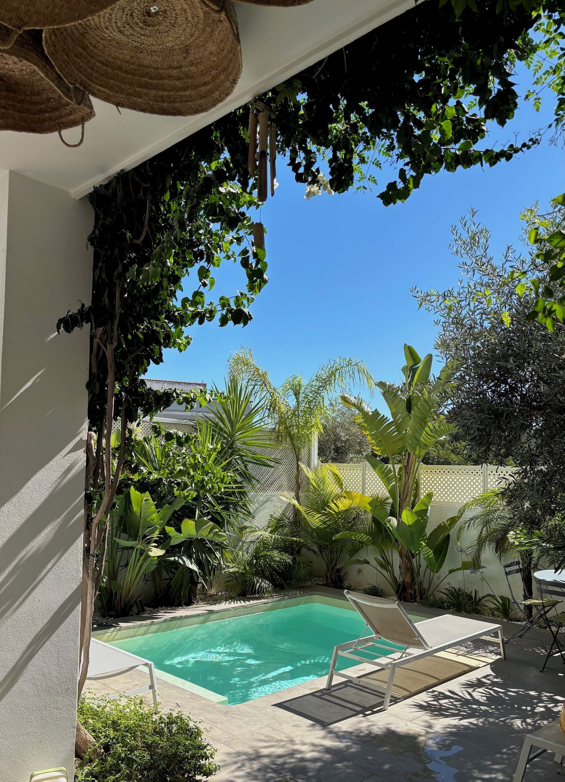 A pool area with a clear blue pool, surrounded by lush greenery and a white fence.