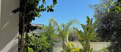 Un área de piscina con una piscina azul cristalina, rodeada de abundante vegetación y una valla blanca.
