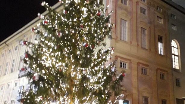 Un sapin de Noël illuminé devant un immeuble.