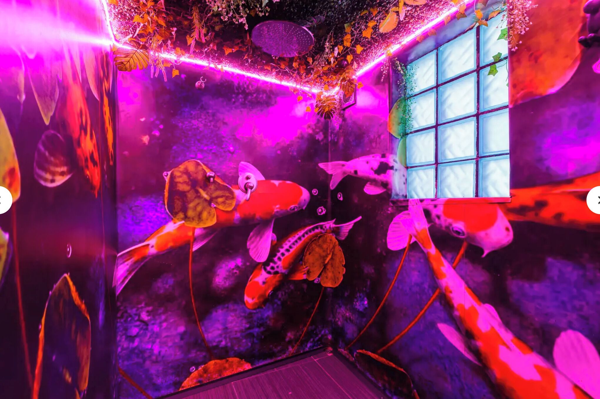 Una stanza con un acquario, una finestra e una porta.