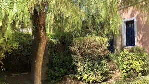 A garden with a variety of plants and a building with a window. - Traditional Villa Aegina Port (Aigina)