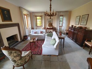 TV, fireplace, books