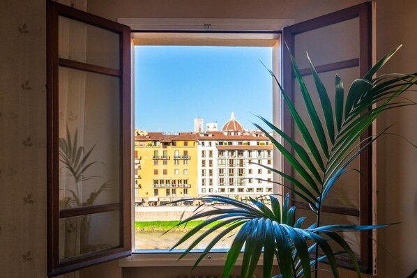 An open window with a view of a building with balconies and a plant in the foreground.