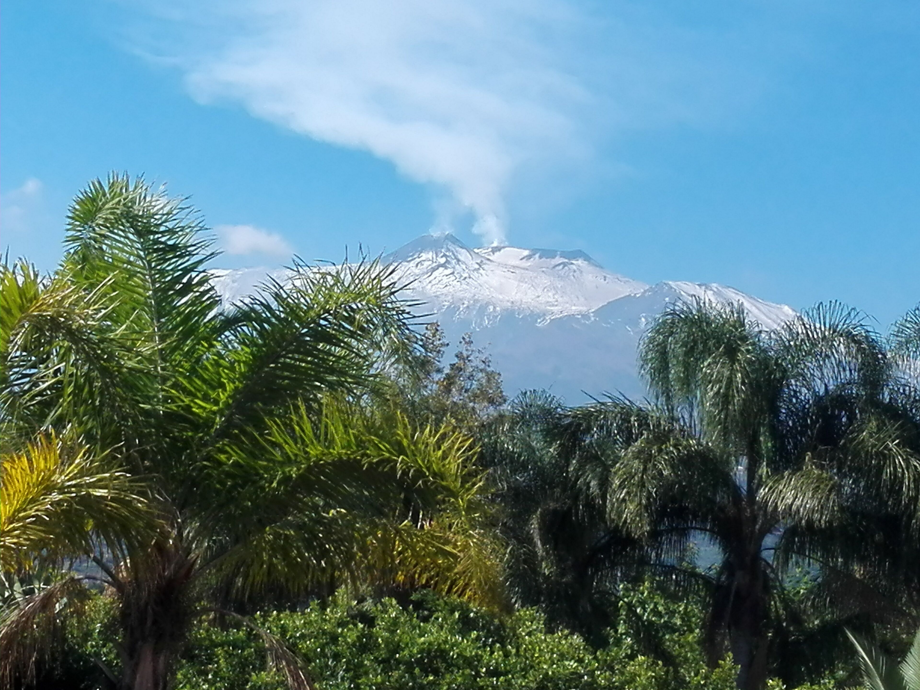 A snow-capped mountain with a clear sky and tropical vegetation in the foreground.