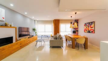 TV, fireplace, video games, DVD player
