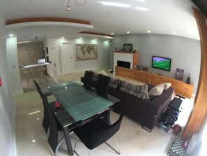 TV, fireplace, video games, DVD player