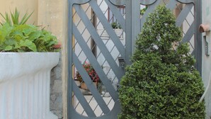 A potted evergreen tree in front of a metal gate.
