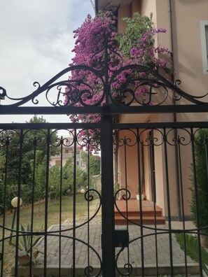 Detalle exterior