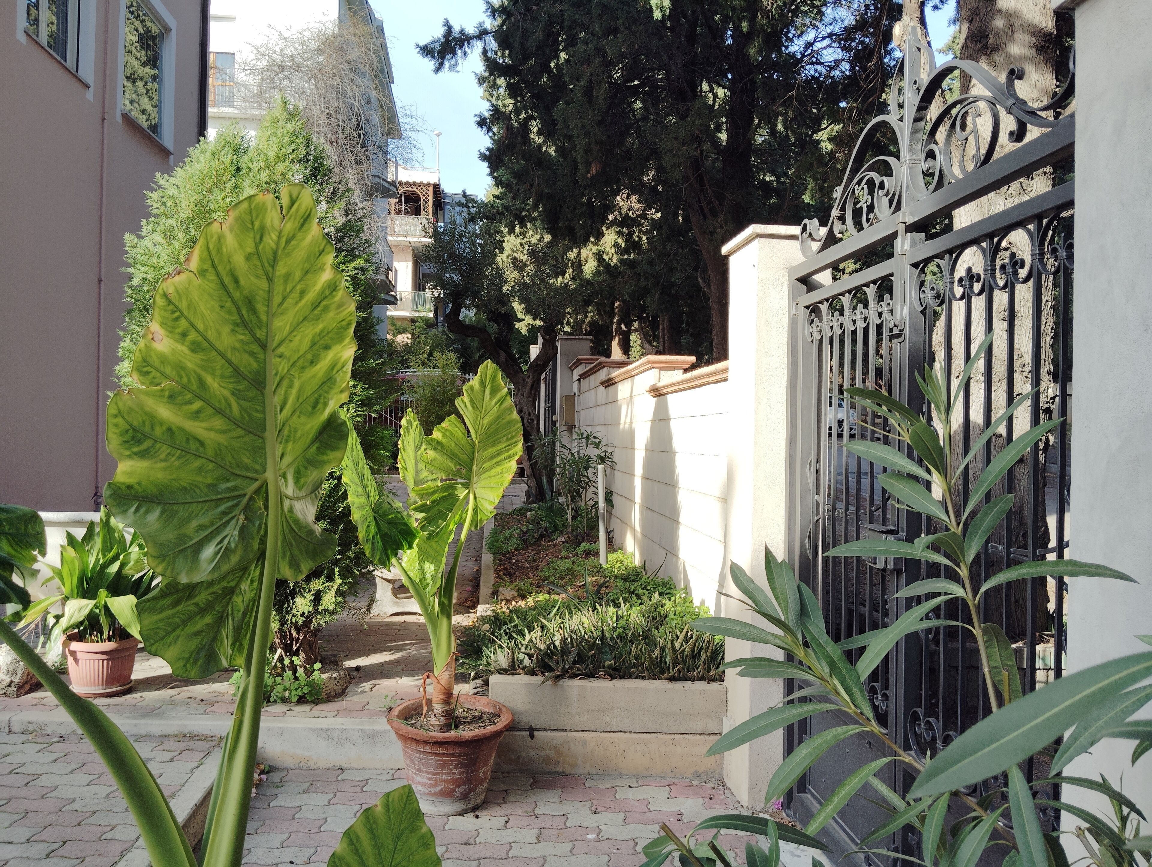 Jardines del alojamiento