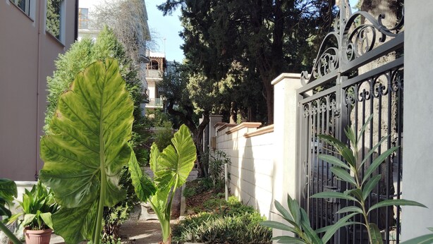 Zona residencial cerrada con plantas en macetas y un sendero.