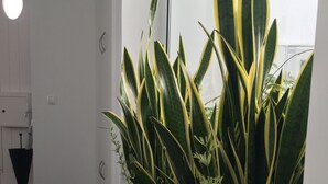 A hallway with dark tiled flooring, a black floor lamp, and a potted plant with variegated leaves. - Traditional Angra House (Angra do Heroísmo)