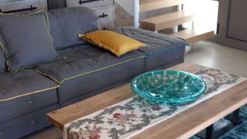 Televisión, chimenea, reproductor de DVD y biblioteca musical