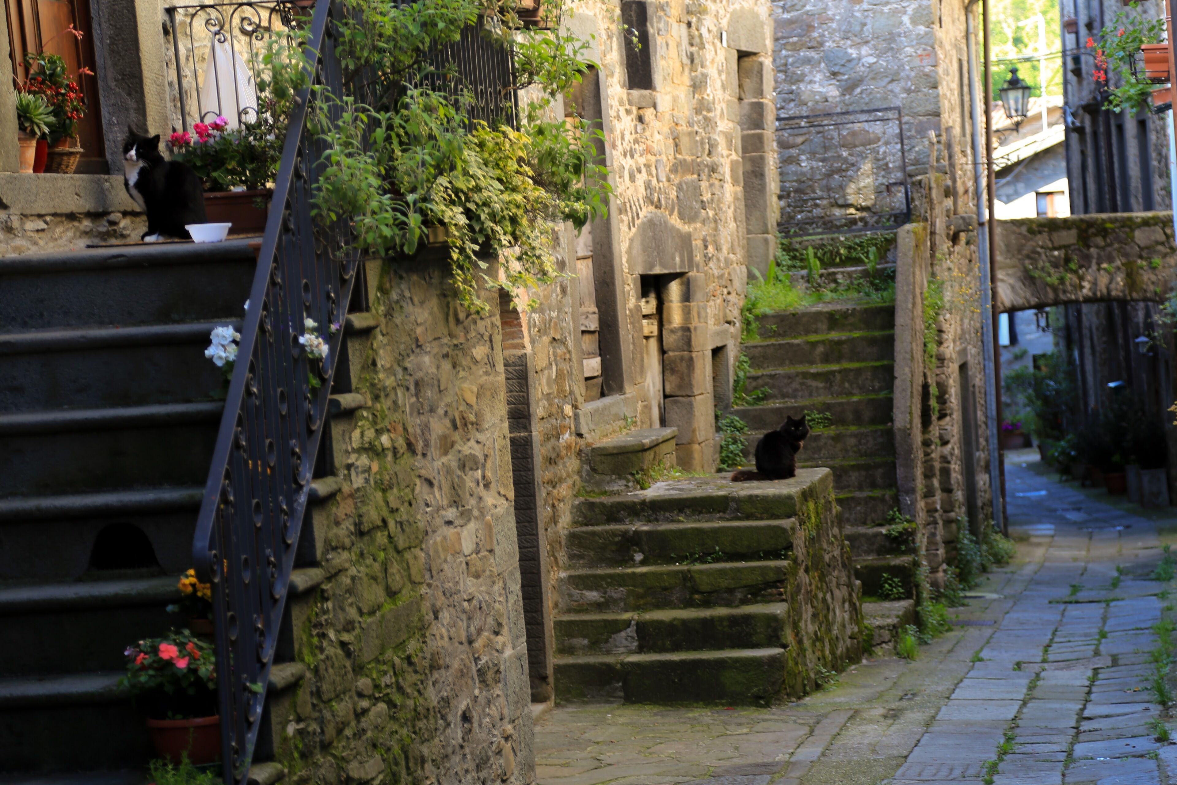 المنطقة المحيطة بالمنشأة