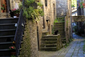 A narrow stone staircase with a cat sitting on the steps, surrounded by greenery and potted plants.