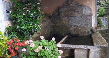 Home - EIN URLAUB IM GRÜNEN UND IN DER RUHE