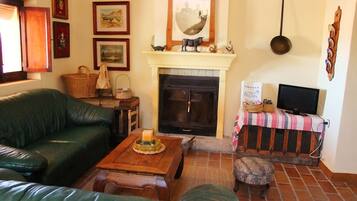 Een televisie, een open haard en boeken