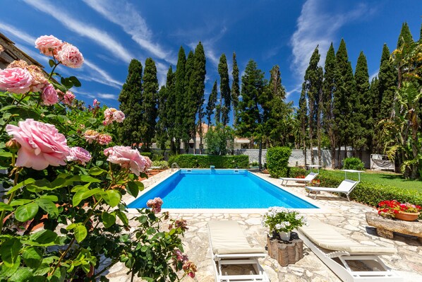 Outdoor pool, sun loungers