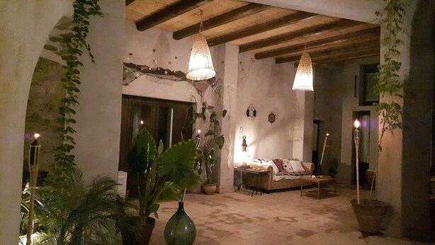 Un salon chaleureux avec un canapé, une table basse et des lampes suspendues. On y trouve des plantes en pot et un vase posé sur le sol.