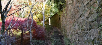 Charming house in the historic center