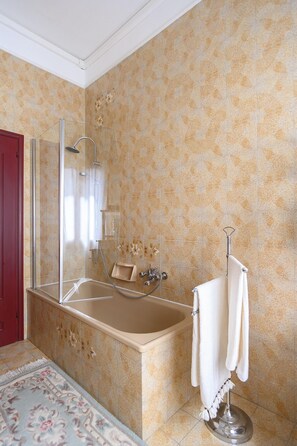 Combined shower/tub, hair dryer, bidet, towels